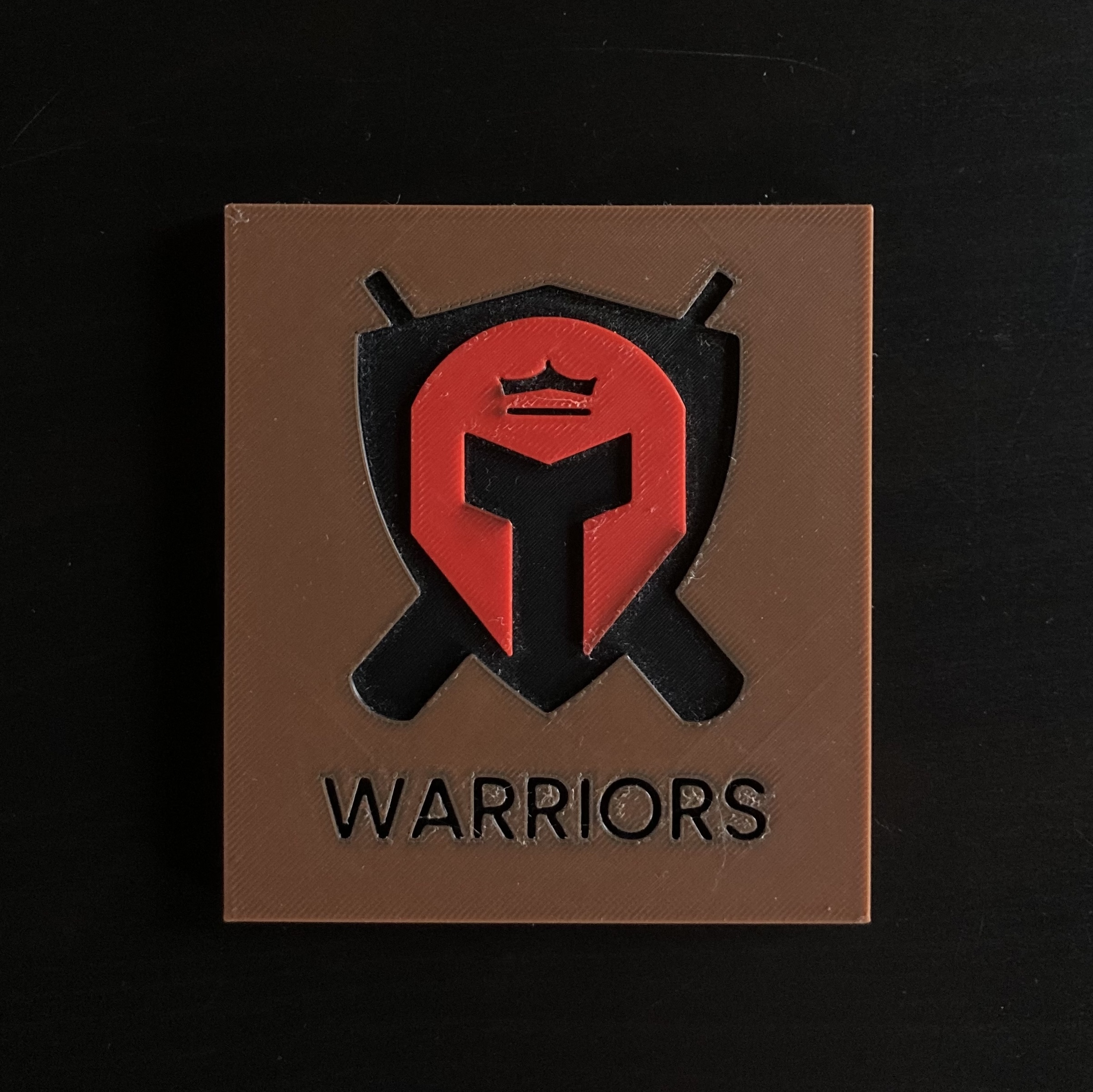 Warriors Cricket Club Logo - 3D Model