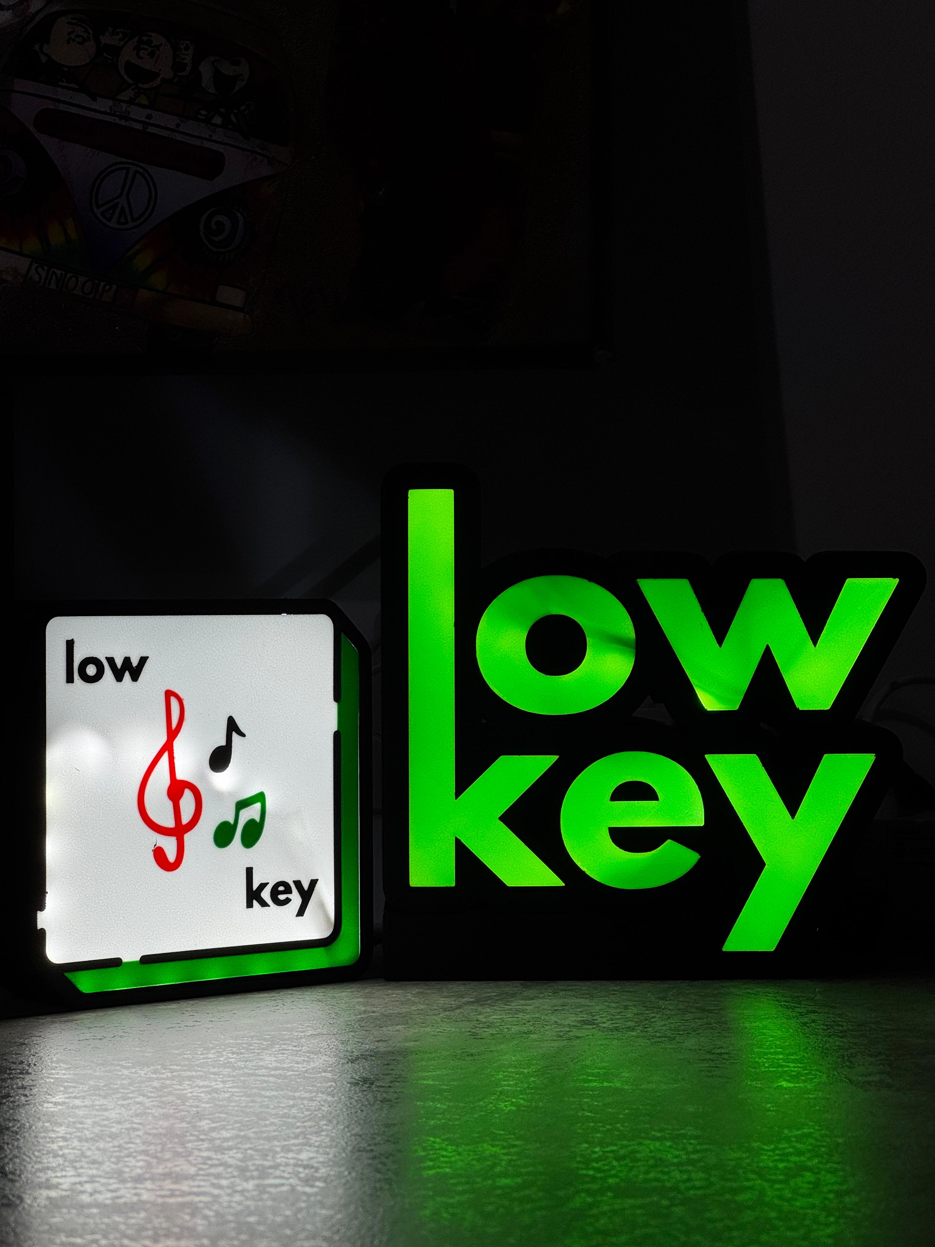 Low Key custom lightbox with LED lighting
