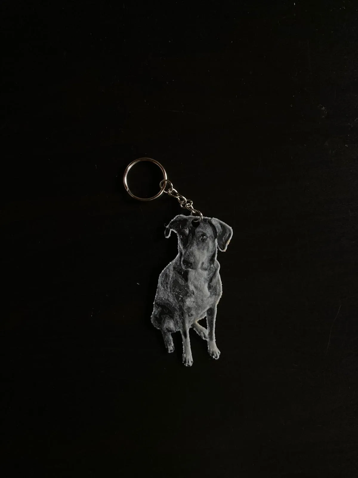 3D printed keychain cut to the outline of a dog, made from a photo